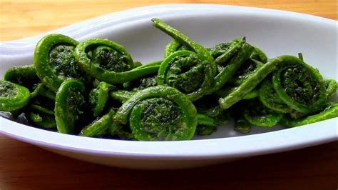 Wild Edibles-Fern Fiddleheads (Video) – Survival Stronghold