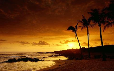 Hawaiian Sunset Wallpaper - WallpaperSafari