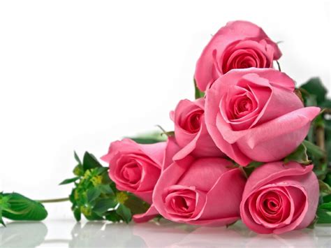 flowers for flower lovers.: Flowers wallpapers beautiful roses backgrounds.