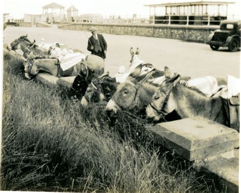 40 Found Photos Capture People At the Seaside in the 1920s and ’30s ~ Vintage Everyday