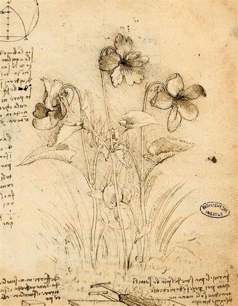 Tattoo ideas: Botanical studies by Leonardo da Vinci Artist Journal, Sketchbook Journaling ...