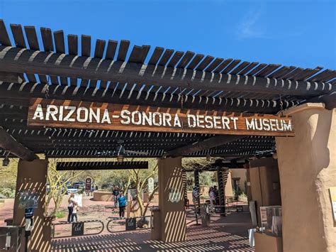 The Wonder of the Arizona Sonora Desert Museum - FoxRVTravel