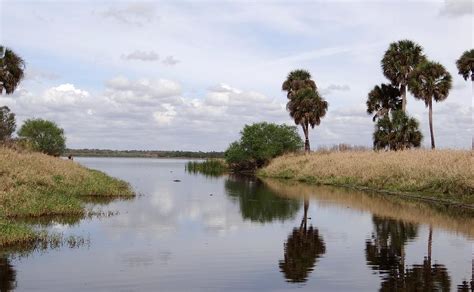 Myakka River State Park Photograph by Keith Stokes - Pixels