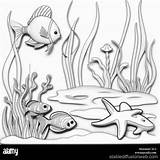 3D Aquarium Coloring Page  Stable Diffusion Online sketch template