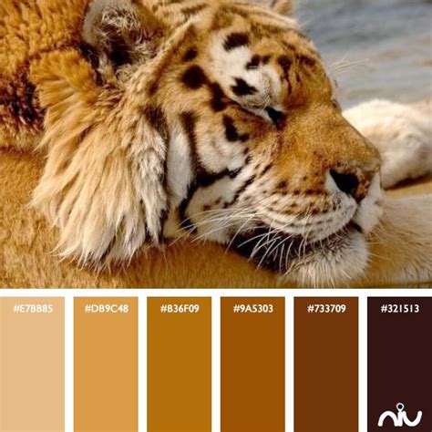 Tiger Color Palette | Color palette challenge, Hex color palette, Color design inspiration