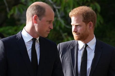 How Prince William and Harry's seismic reunion was arranged over TEXT ...