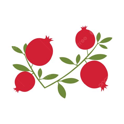 Pomegranate Vector Illustration, Pomegranate, Vector, Fruit PNG and ...