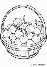 Cherry Fruit Basket Coloring Page » Free Download Artus Art sketch template