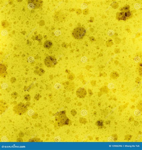 Sponge Texture Royalty Free Stock Image - Image: 13906396