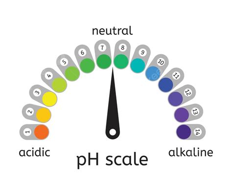 Ph Scale Vector PNG Images, Vector Ph Scale Of Acidic, Chemical, Test, For PNG Image For Free ...