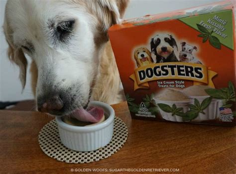 Tongue Out! Dogsters Ice Cream for Dogs - Golden Woofs