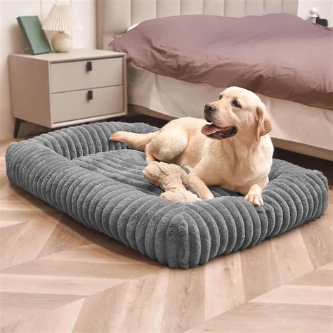 9 Best Chew Proof Dog Beds updated for February 2024