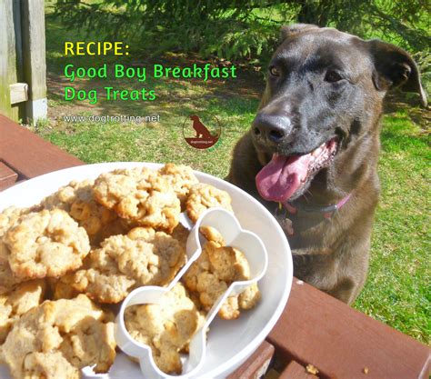 Recipe: Good Boy Breakfast Dog Treats - Dog Trotting