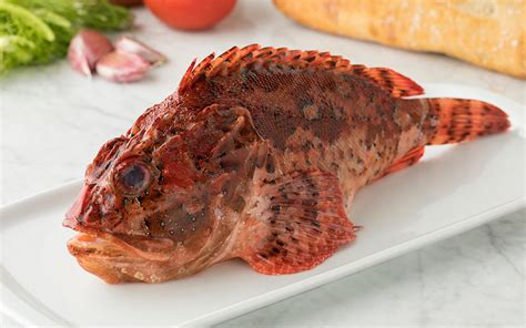 Greek Fish Translated: A Guide to Greece's Seafood - Greece Is