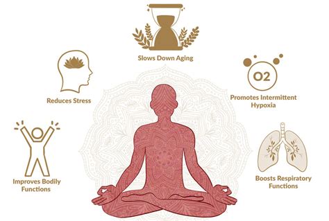 Proven Pranayama Benefits & Techniques For A Longer Life