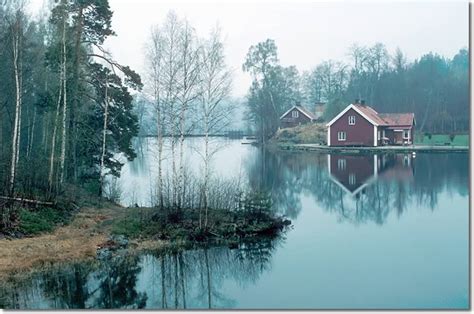 Misty Lake - Sweden