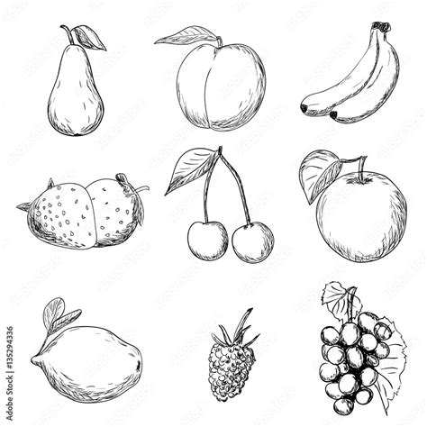 Top 999+ fruits drawing images – Amazing Collection fruits drawing images Full 4K