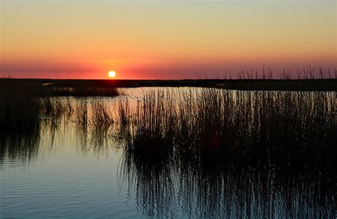 Marshland Sunset Photograph by Lindy Pollard - Fine Art America