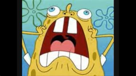 top 10 funny spongebob faces - Gen. Discussion - Comic Vine