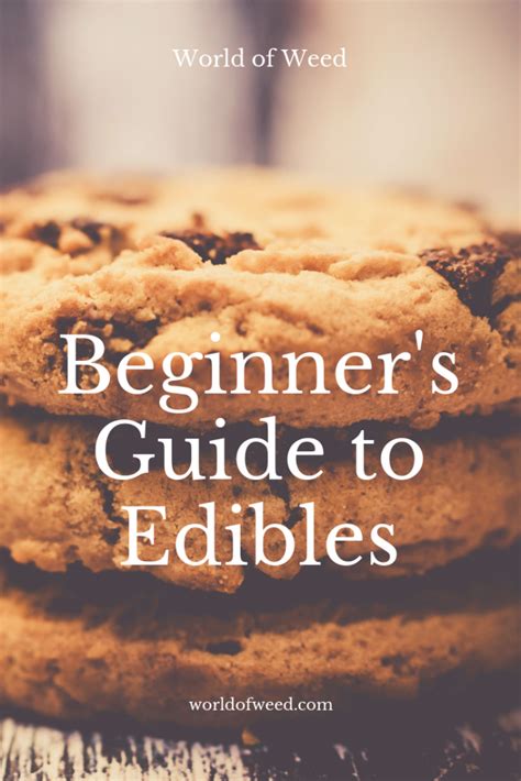 Beginner's Guide to Edibles | World Of Weed