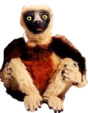 Zoboomafoo (character) | The Zoboomafoo Wiki | Fandom