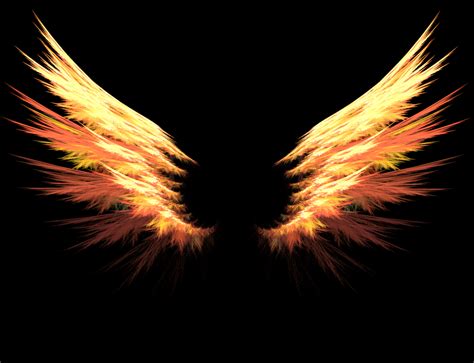 Wings of Fire Wallpaper - WallpaperSafari