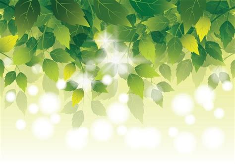 Natural Green Leaves Background 140389 Vector Art at Vecteezy