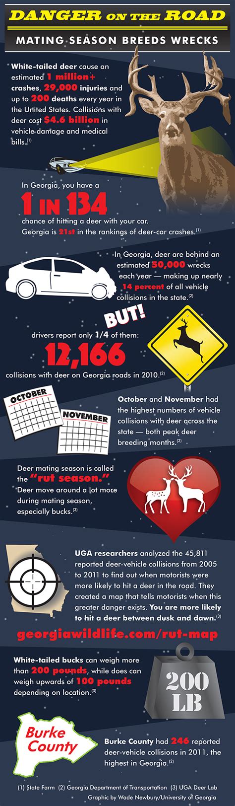 Be on the lookout this fall: Deer-vehicle collisions increase during breeding season - UGA Today