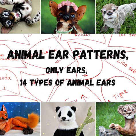 Animal ear PATTERNS, ONLY EARS, 14 types of animal ears - Inspire Uplift