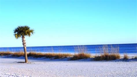 9 of the Best Beaches Near New Orleans - Flavorverse