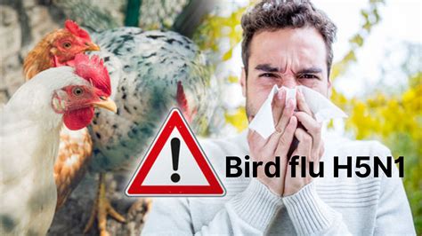 Protect Yourself from Influenza H5N1 Virus: Know the Warning Signs and Treatment | by Your ...