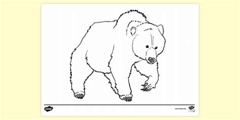 Bear Hunt Colouring | Colouring Sheets (teacher made)