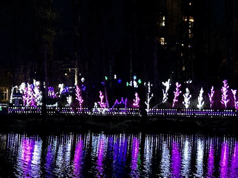 LaFarge Lake Lights January 2023 | Lesley Gross | Flickr