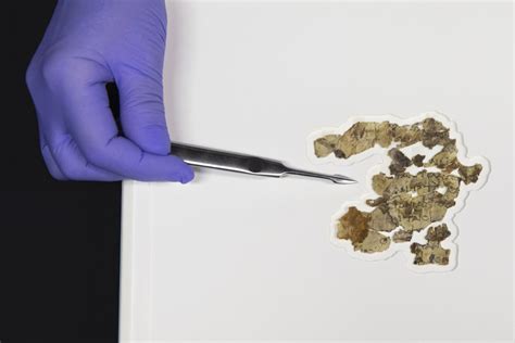 Dead Sea Scrolls Portion Discovered for First Time in 60 Years