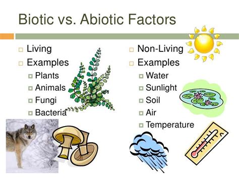 Biotic Vs Abiotic Factors | Science - Quizizz