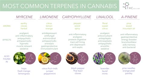 Terpenes And Their Effects Chart