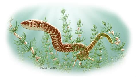 Oldest snake fossils show they thrived in the age of dinosaurs - CBS News