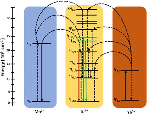 Proposed energy transfer mechanisms under the excitation of a 980 nm ...