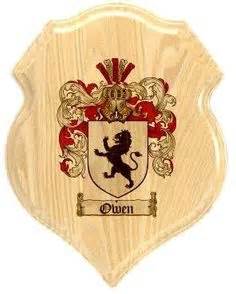 7 Owen Coat of Arms/ Owen Family Crest ideas | family crest, coat of ...