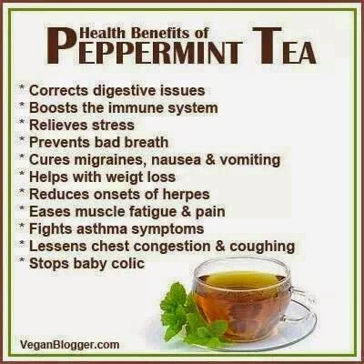 spearmint tea benefits | argman13