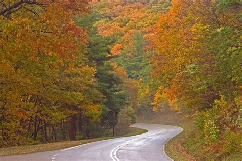 Best Time to See Shenandoah National Park Fall Foliage in Virginia 2023