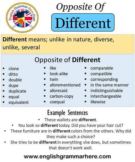 Opposite Of Different, Antonyms of Different, Meaning and Example ...