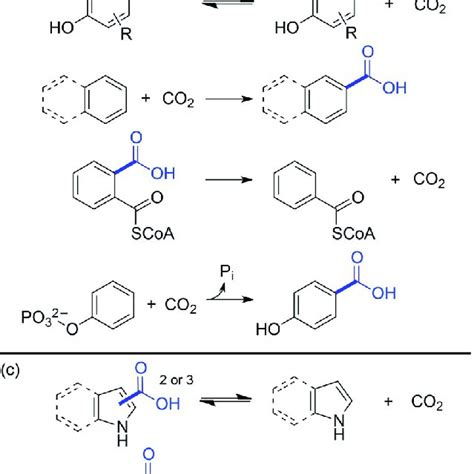 Types of substrates of (putatively) prFMN-dependent (de)carboxylation ...