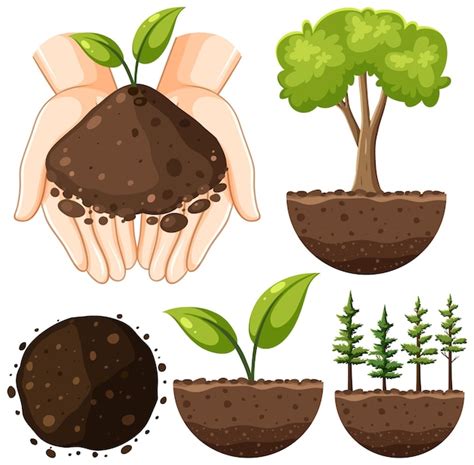 Soil Vectors & Illustrations for Free Download | Freepik