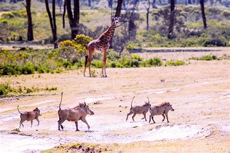 Wildlife Walk at Crater Lake | As Her World Turns