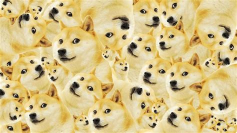 Shiba Inu Doge HD Desktop Wallpaper