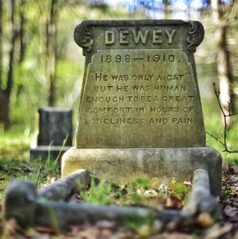 12 Beautiful Tombstone Quotes For Your Beloved Cat or Dog