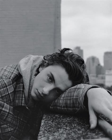 Timothée Chalamet Of ‘call Me By Your Name’ Fame The New York Times ...