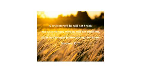 Bruised Reed Bible Verse Postcard | Zazzle.com