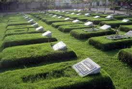 Rumput kuburan , Rumput makam Januari Tahun 2024 ~ JUAL RUMPUT TAMAN DAN BIBIT RUMPUT TERNAK